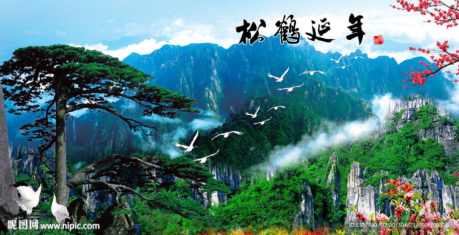 黄山迎客松