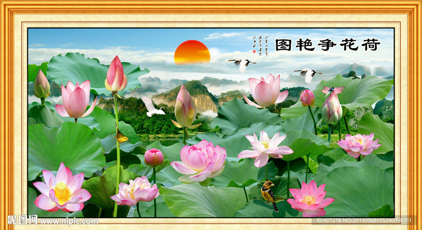 荷花