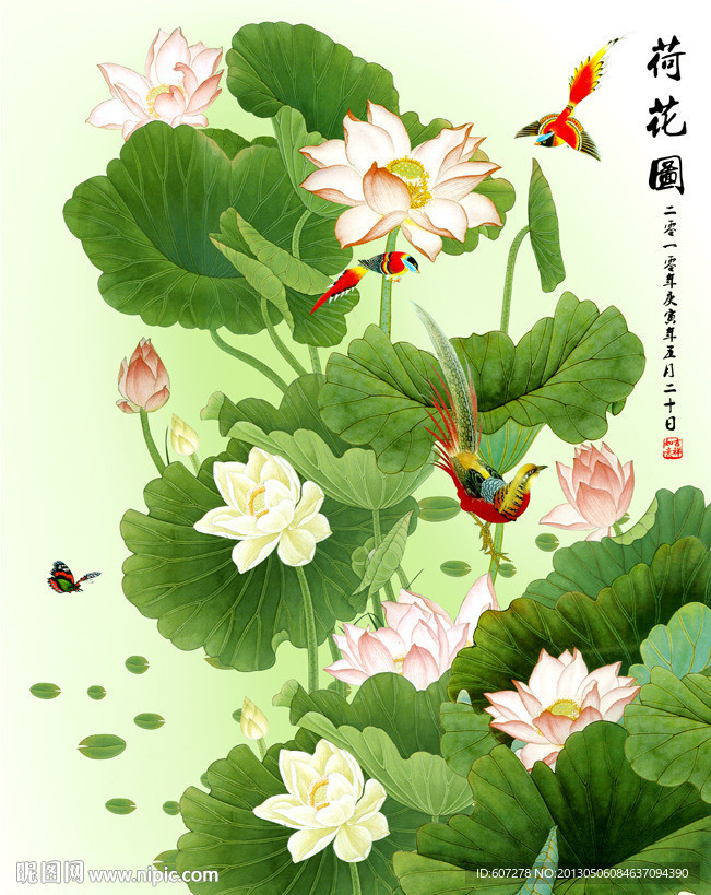 荷花