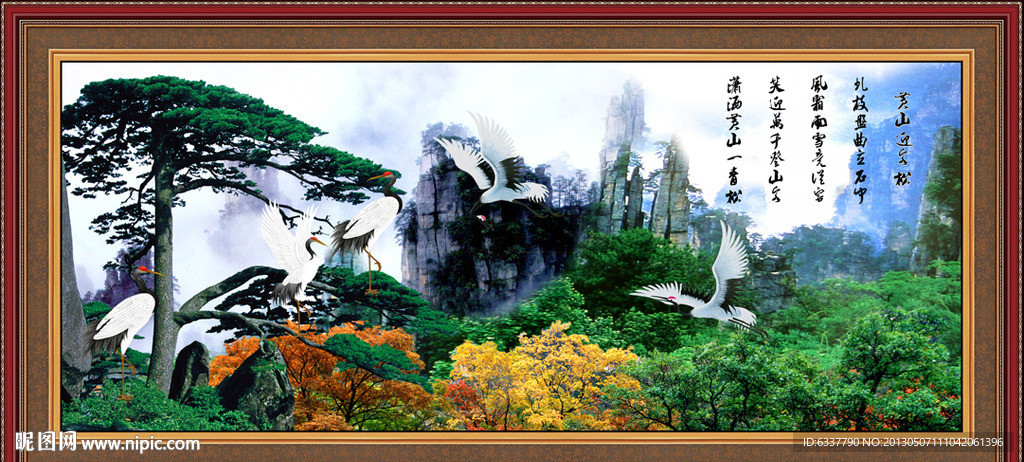 黄山迎客松
