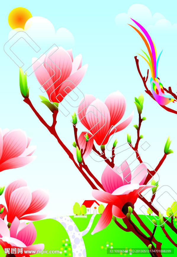 玉兰花
