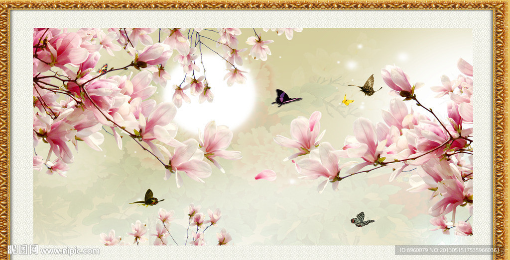 玉兰花