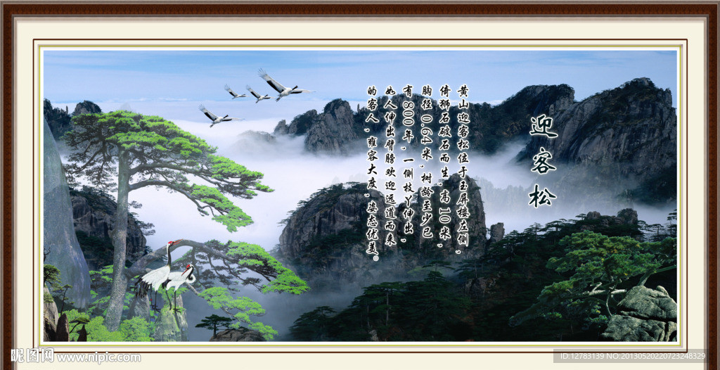 黄山迎客松