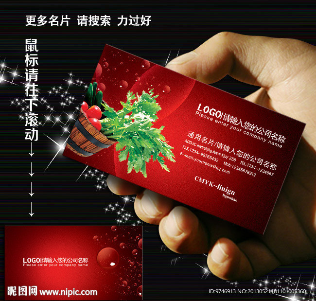 蔬菜 名片 蔬菜名片