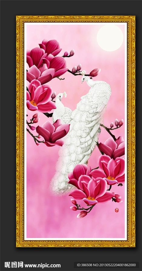 国画玉兰花孔雀图