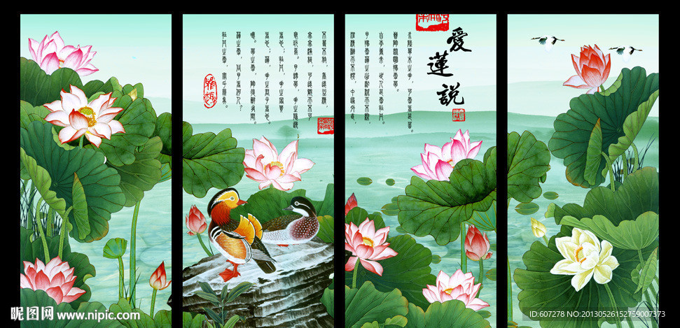 荷花