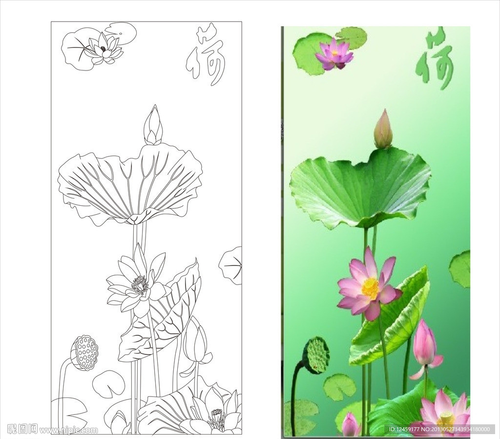 荷花