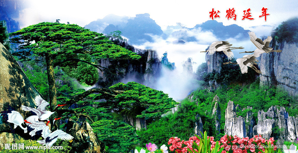 黄山迎客松