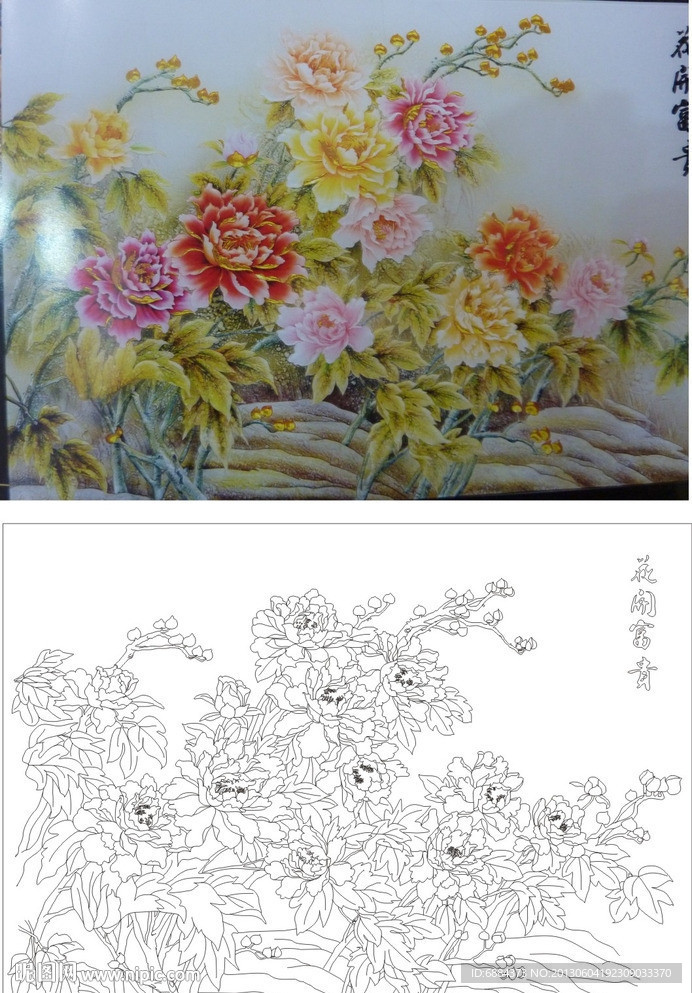 花开富贵 牡丹