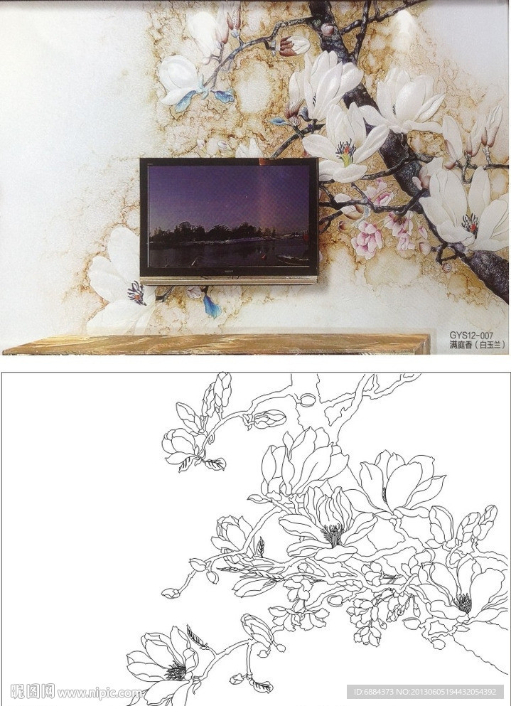 满庭香 白玉兰 玉兰