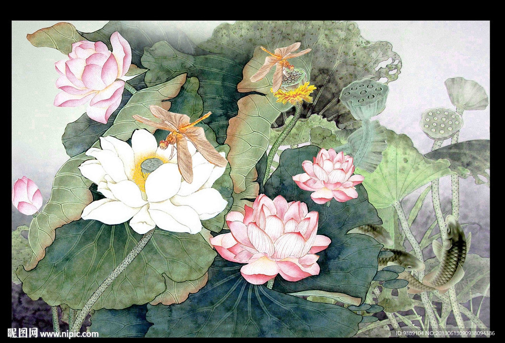 荷花