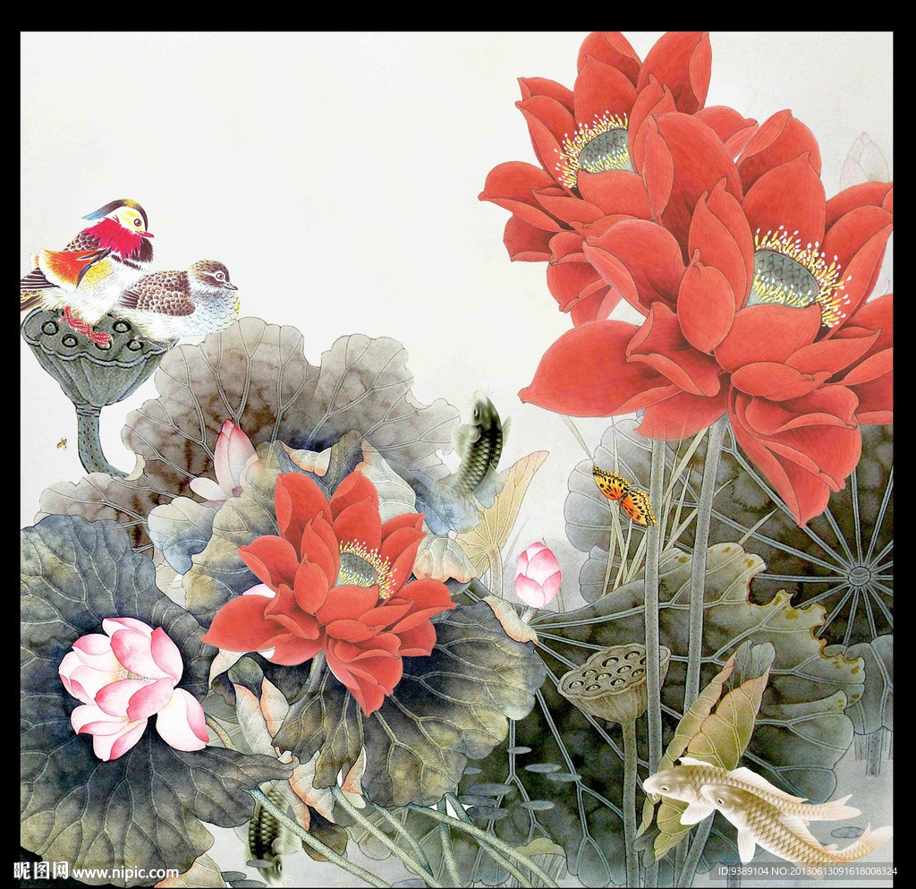 荷花