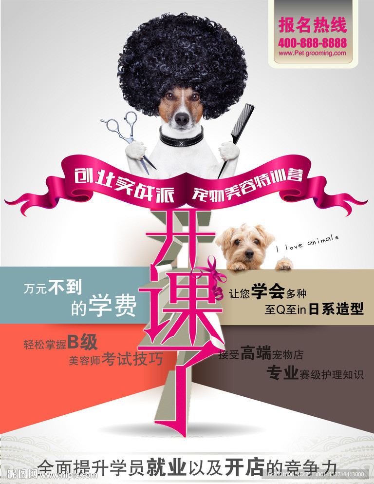 宠物宣传海报