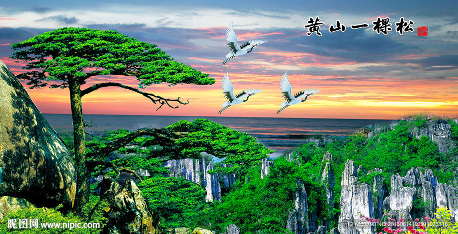 黄山迎客松