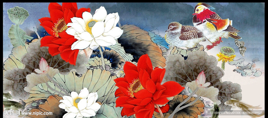 荷花