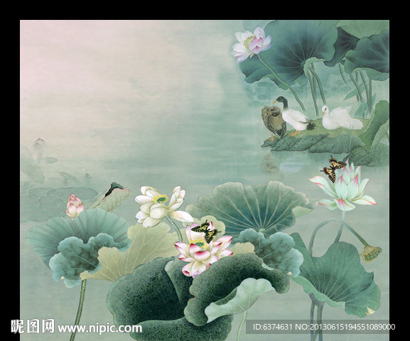 荷花