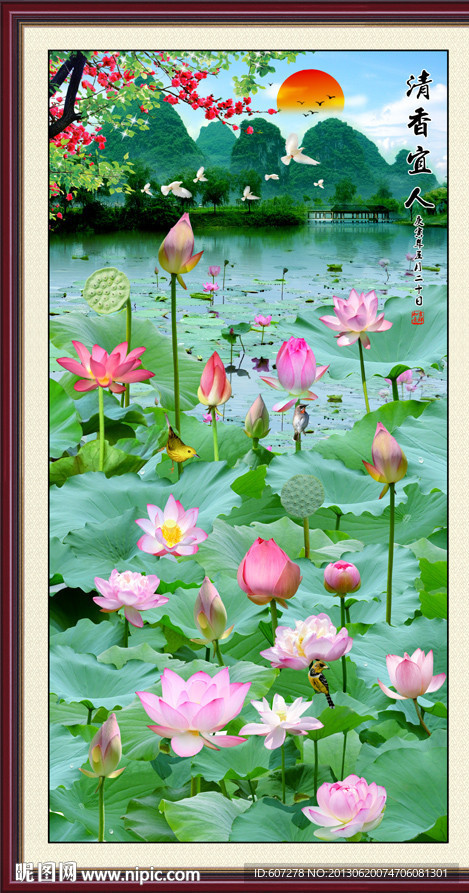 荷花