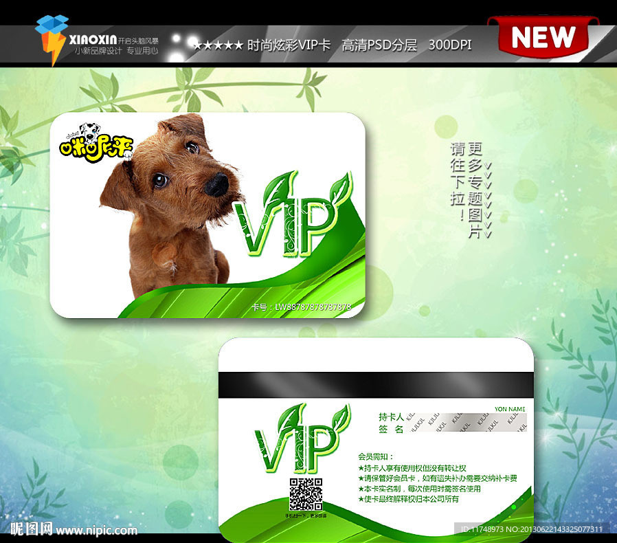 绿色健康宠物VIP卡