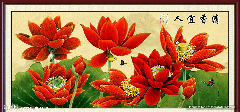 荷花