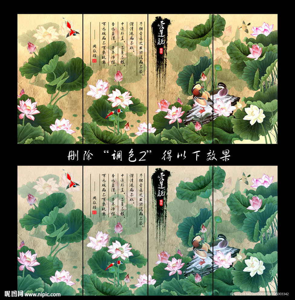 荷花