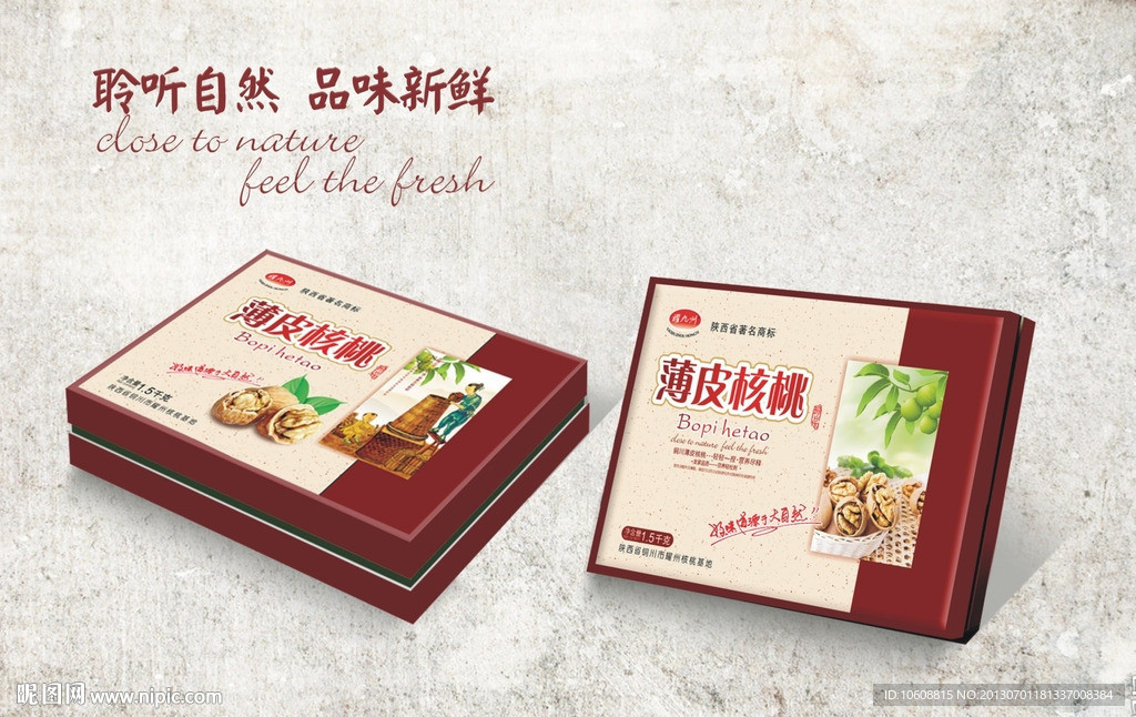 薄皮核桃 平面图