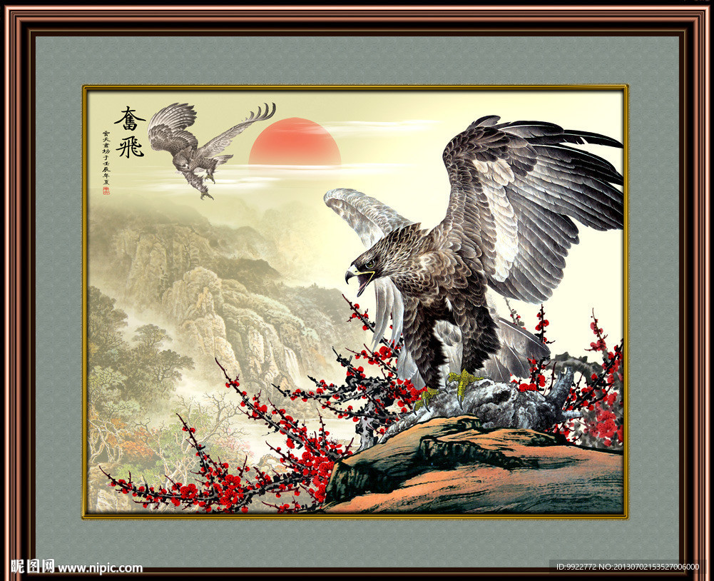老鹰