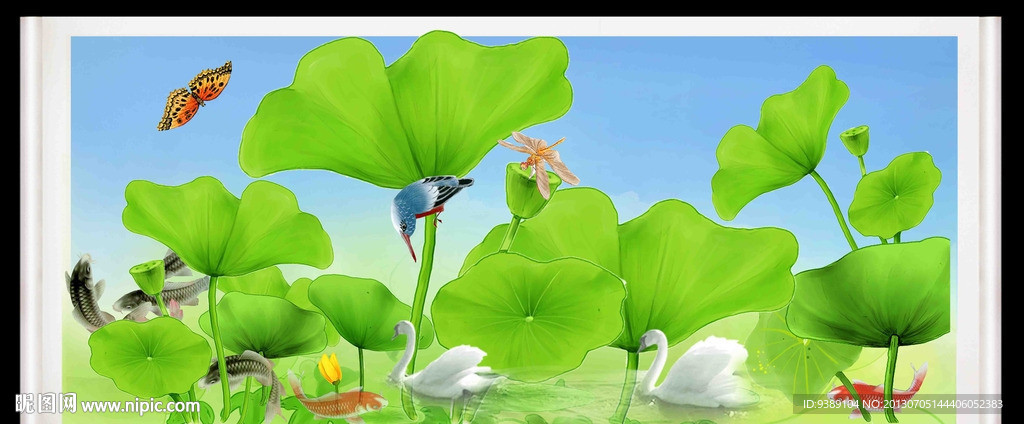 荷花