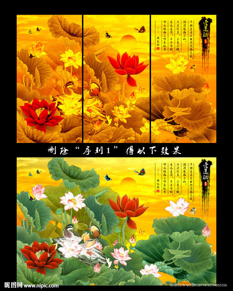 荷花