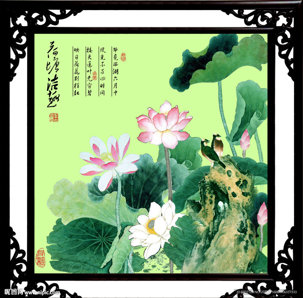 国画荷花
