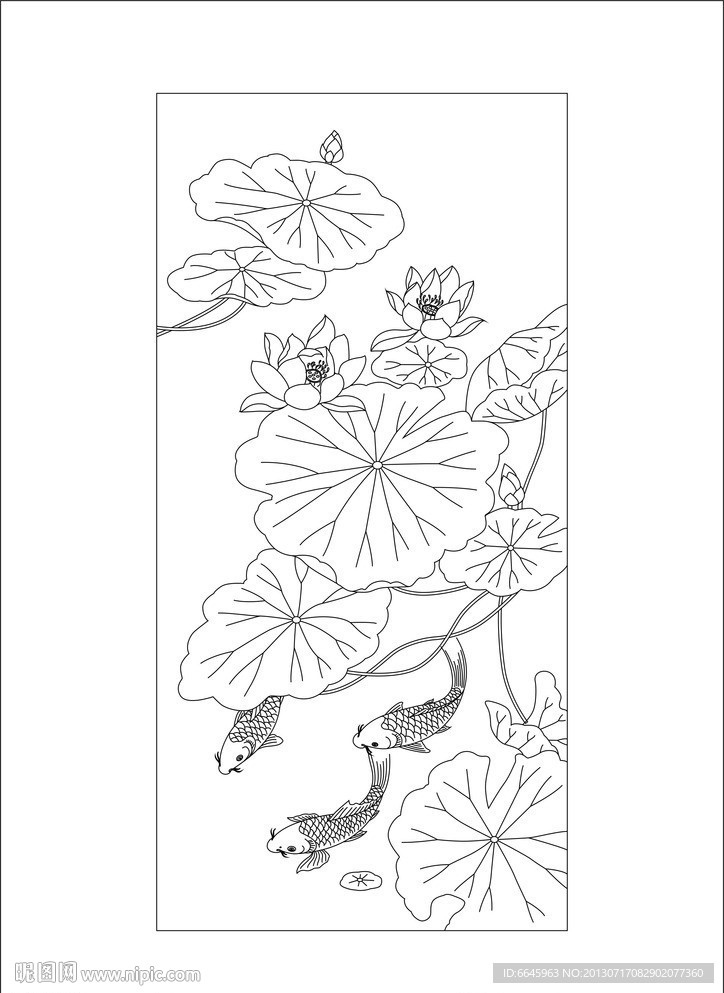荷花鱼