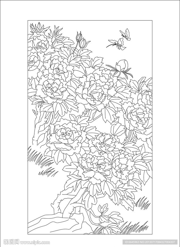 牡丹花