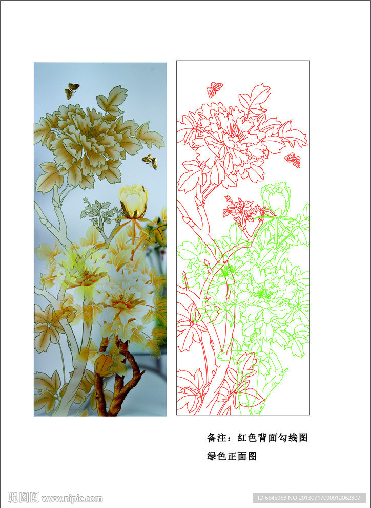 牡丹花