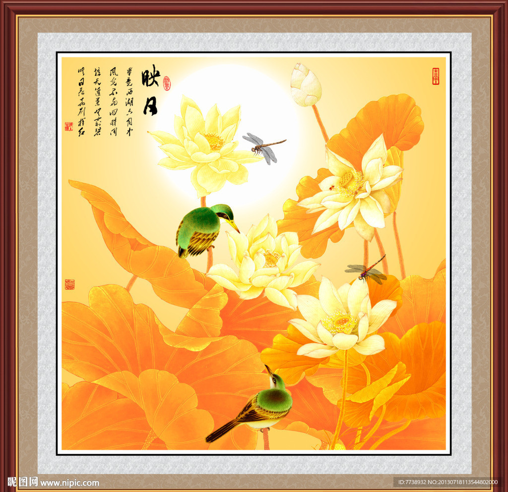 荷花 翠鸟
