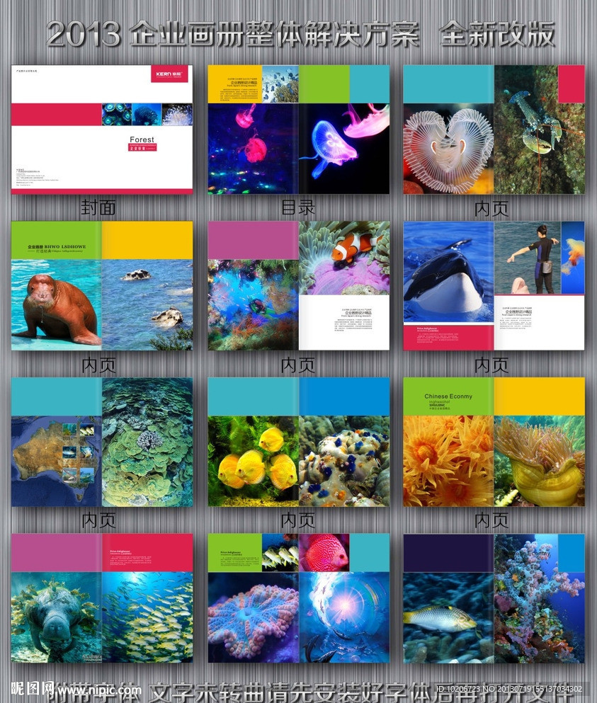 海洋生物画册
