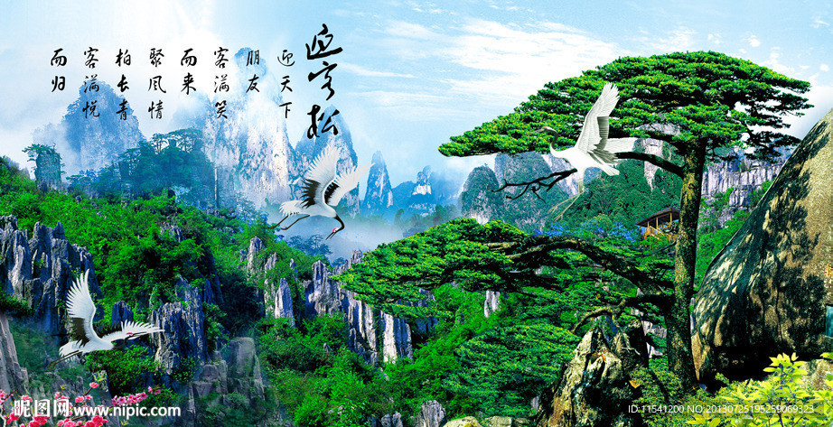 黄山迎客松