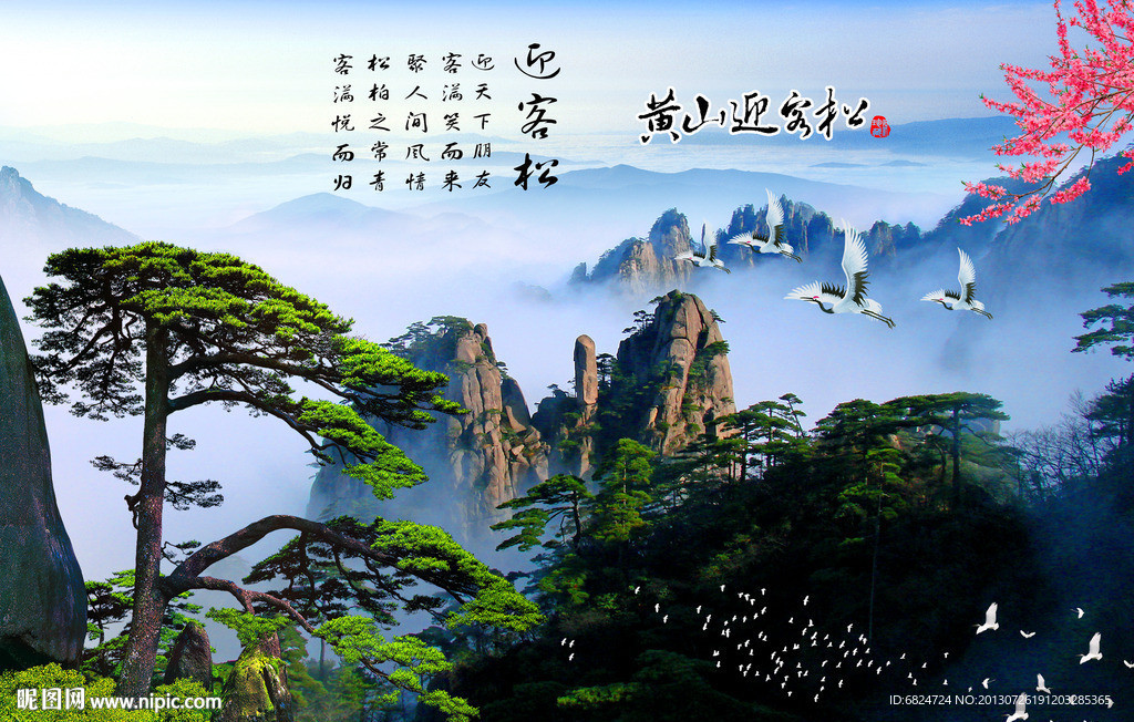 黄山迎客松