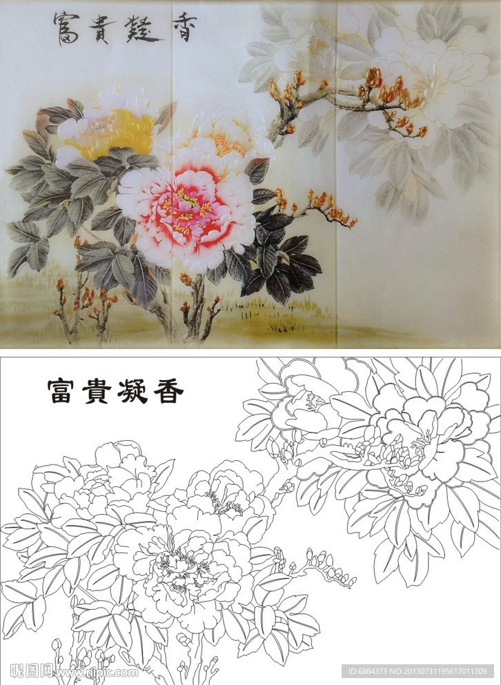 牡丹花 富贵凝香