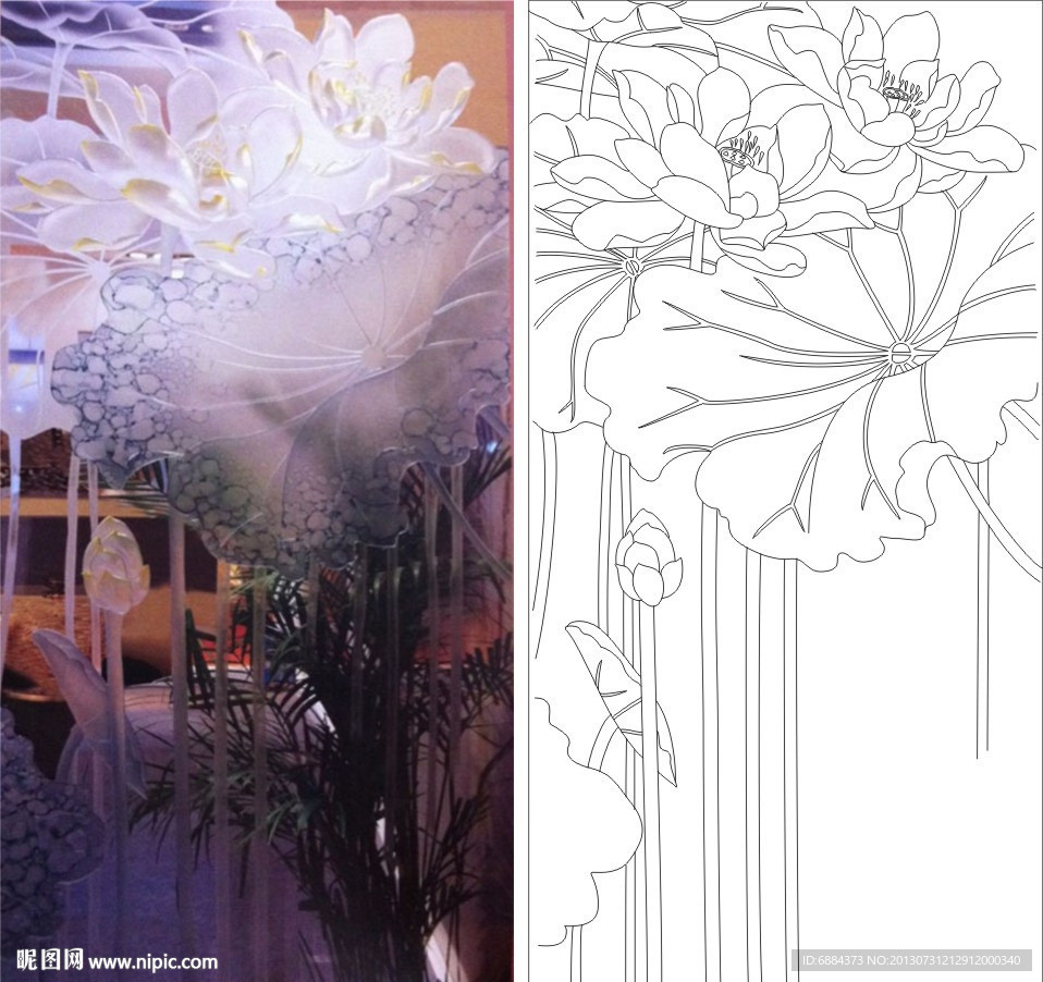 荷花 莲花 荷叶