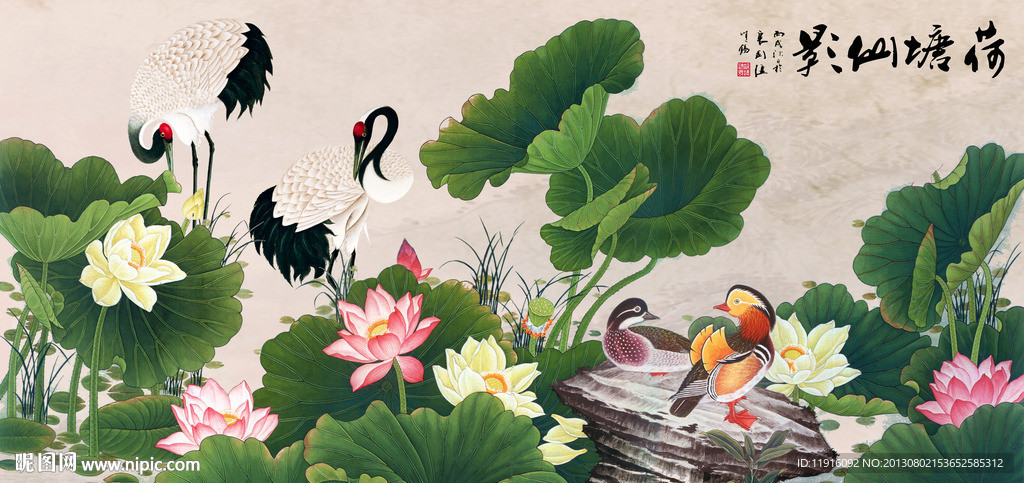 荷花