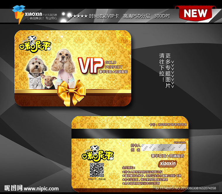 金卡 高档宠物VIP