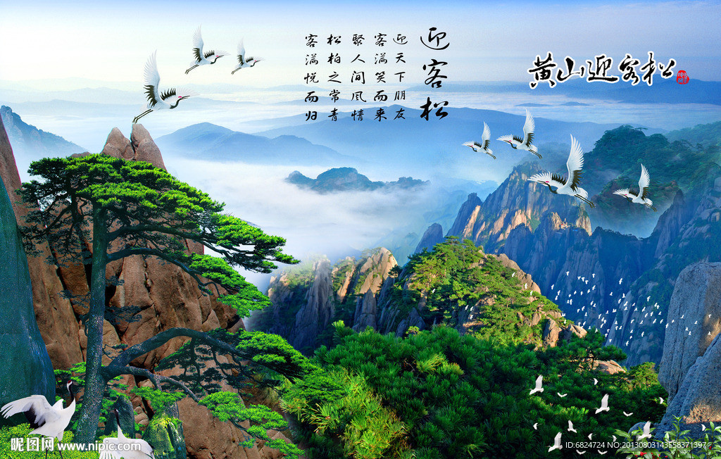 黄山迎客松