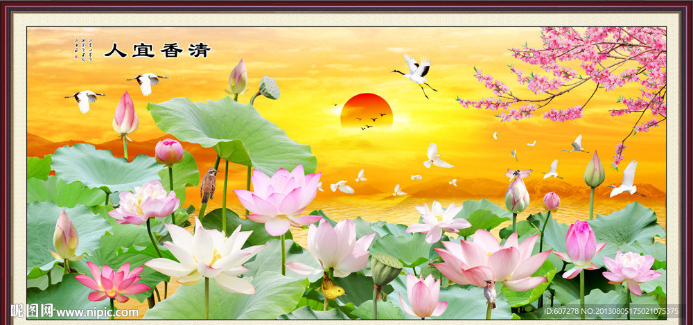 荷花