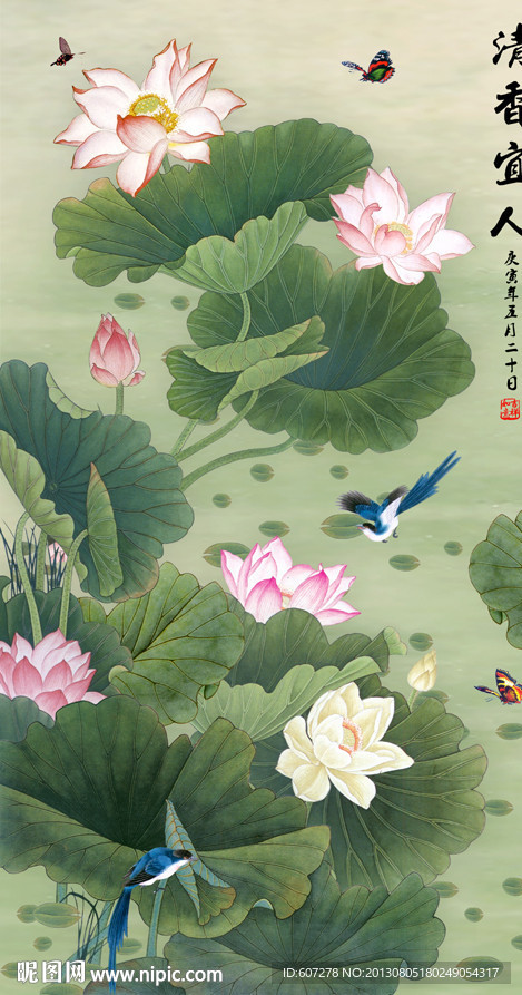 荷花