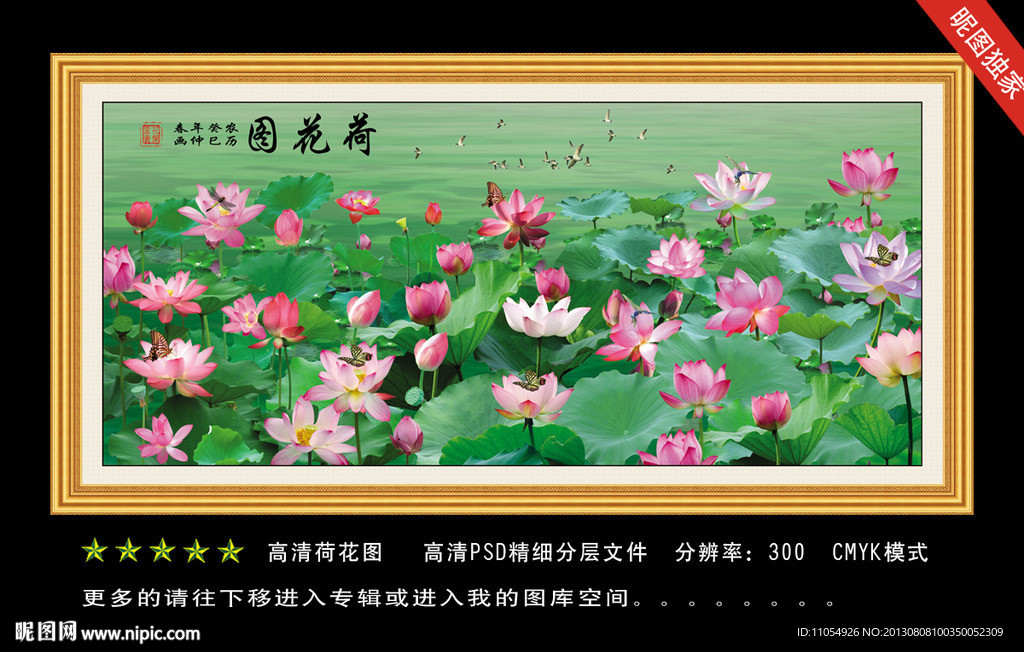 荷花