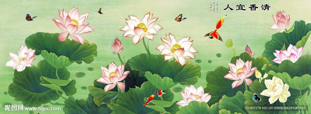 荷花