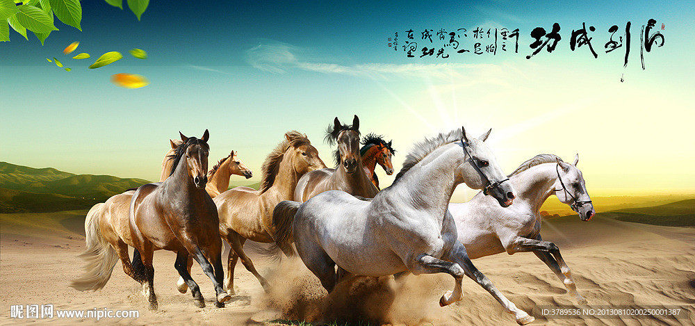 八马图