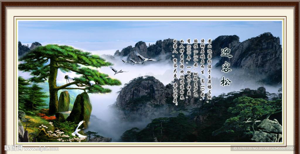 黄山迎客松