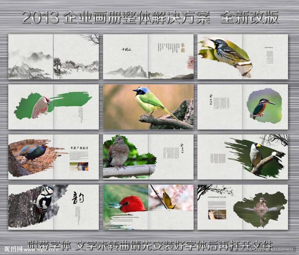 鸟类画册