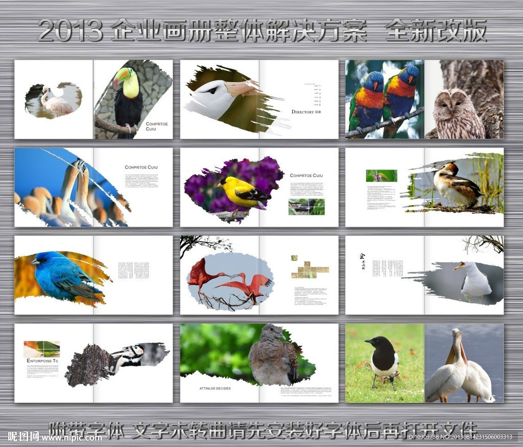 鸟类画册