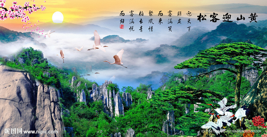黄山迎客松